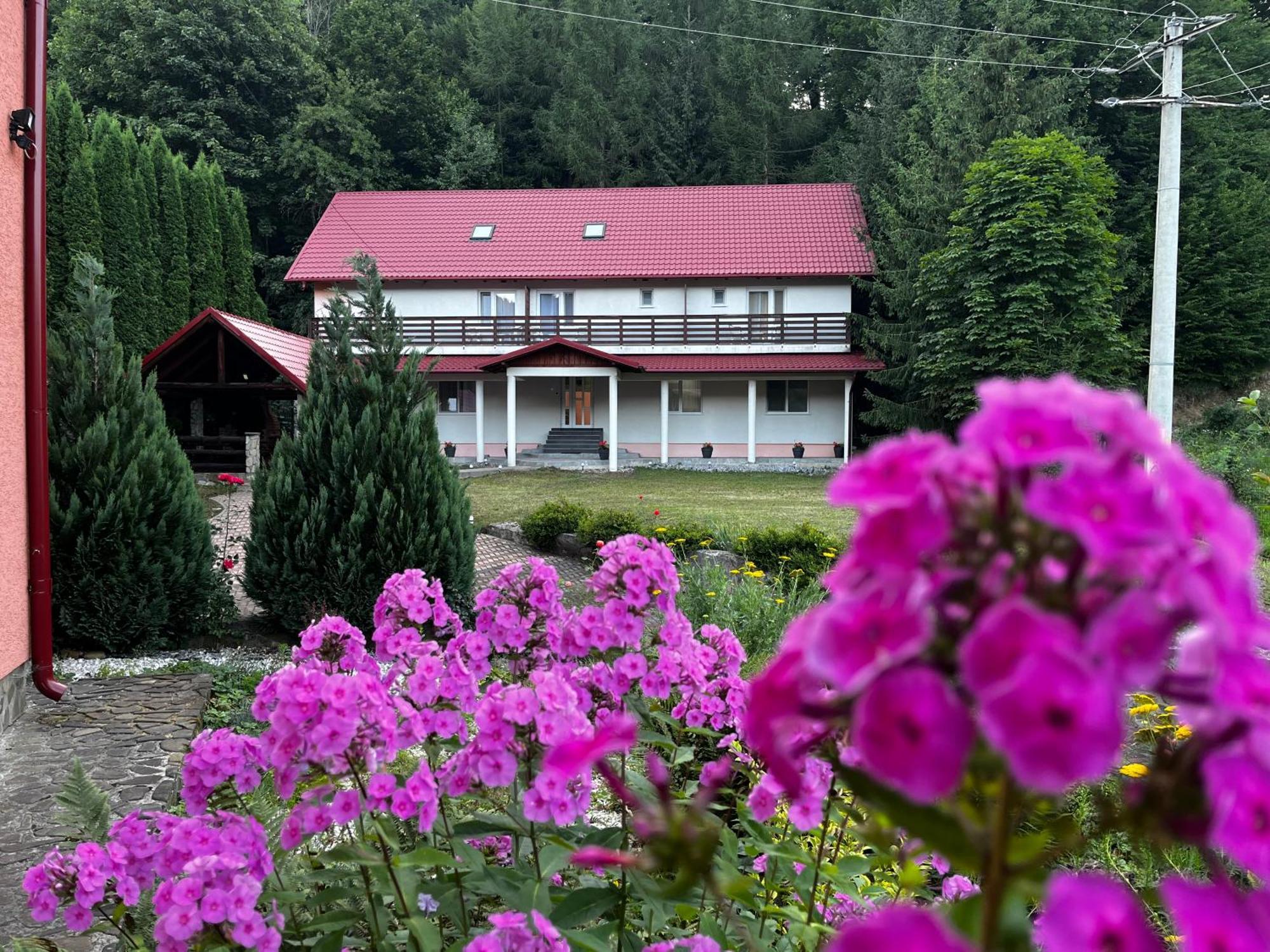 Vacation Villa Sucevita Exterior photo